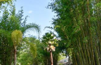 Luxurious Farm House 63 Acres - Foto 62