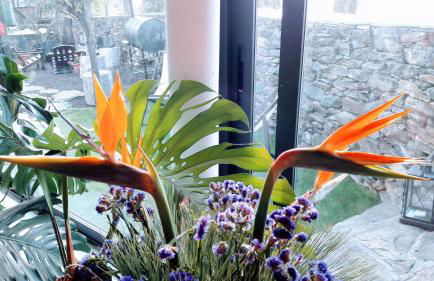 Casa Finca Doñana - Foto 19