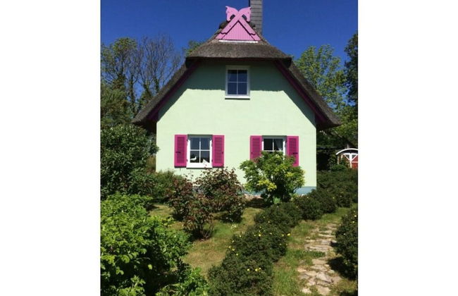 Red-throated Diver Modern Retreat - Foto 13