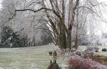 Maison de charme - 4 étoiles - Moulin de la serrée - Foto 27