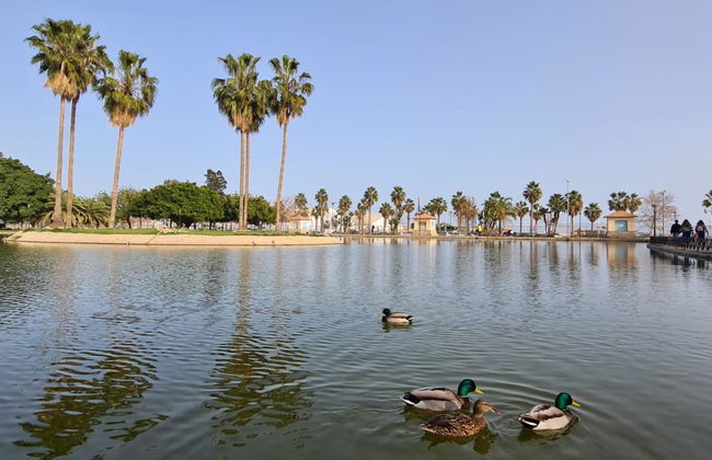 Montesa terraza comunitaria - Foto 25