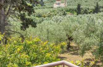 Achilleas Deluxe House-Jacuzzi - BBQ - Foto 35