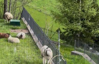 Residenza Clarissa - Foto 29