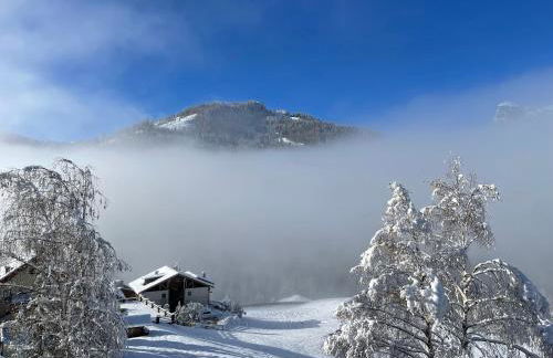 Col Dala Vara - Foto 49