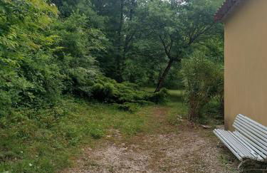 La villa des pins - Foto 2