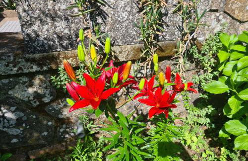 Finca Axarquía de Gredos - Photo 78