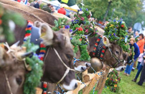 Aggenstein - Helles Studio mit Südbalkon und traumhaftem Bergpanorama in Pfronten Mitte - Foto 28