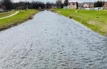 "Glück auf" Lichtdurchflutete schicke Ferienwohnung in Zwickau - Foto 29