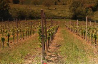 Agriturismo Le Casette - Photo 13