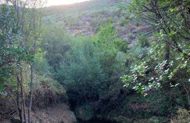 Quinta De Cabrum - Foto 9