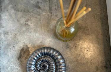 Casa da Mata - Photo 78