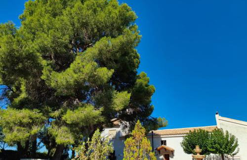 Casa Rural "La villa del pistacho" - Foto 8