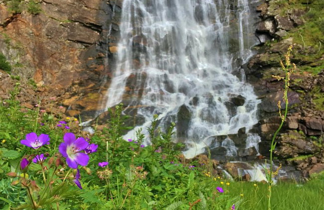 AMAZING HARDANGER FJORD: Private guided round trip from Bergen, 10 hours - Photo 32