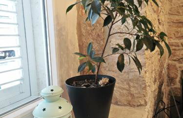 Apartments Karuza Center of old town Vis - Photo 26