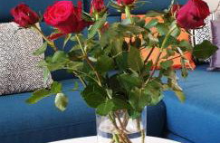 RozART - river marina apartment with free parking - Foto 15