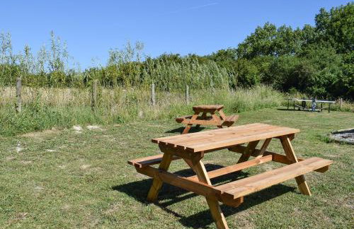 Dornfelder - Ukc3209 - Foto 11