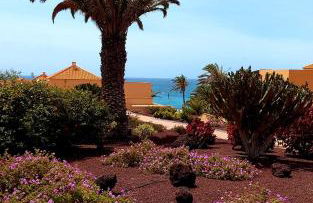 GRANI MAR - Photo 23