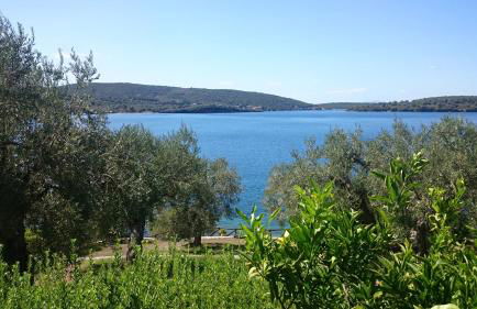 Saint Andrews Bay - Foto 7