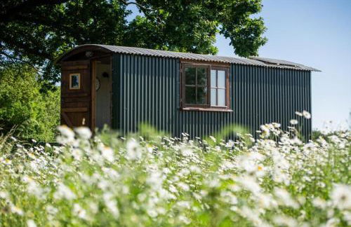 Harbour Ranch Hut - Rustic Countryside Escape - Photo 1