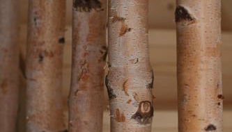 Agriturismo La Daga - Foto 4