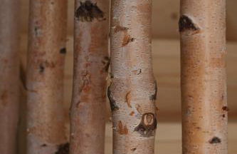 Agriturismo La Daga - Foto 4