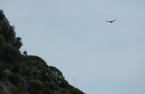 Agriturismo Casebianche - Foto 38