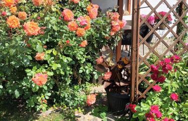 Apartament RÓŻE - Foto 6