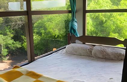 Sítio Piscina natural, Trilha e Cachoeira - Foto 72