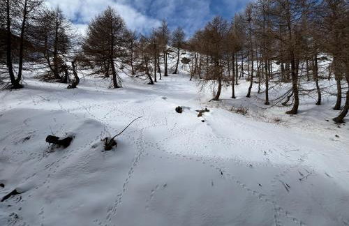 Via Lattea-Bilocale a 300 m dalle piste - Photo 35