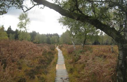 Alt Monjoie - Foto 38