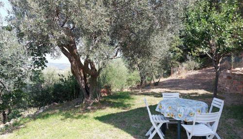 Grazioso cottage di campagna - Foto 2, Garden