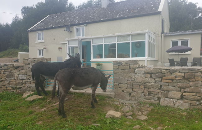 Captivating 3-bed House - Photo 16