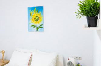 Sollana Arena - Foto 25