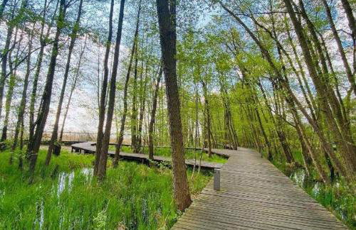 Domek na żołędziowej - Foto 6