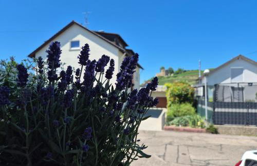 Apartment Rosalie Burgblick EuropaPark in ca 15min erreichbar - Foto 33