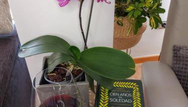 Apartamento Las Floritas - Photo 3