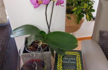 Apartamento Las Floritas - Photo 3