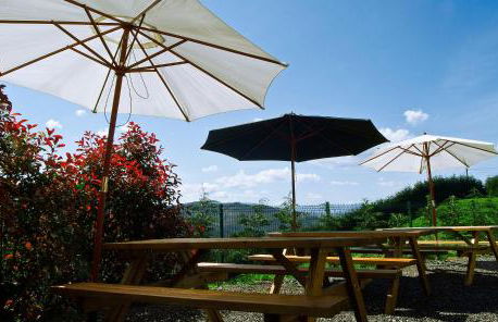 Apartamentos Rurales El Fresnu - Foto 21