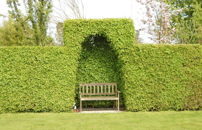 Comfortable Home With Sauna - Foto 29