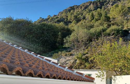 Casa Diego. Algodonales (Cadiz) - Photo 33