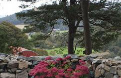 Gorse Hill Farm - Photo 3