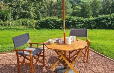 Shepherd's Hut in heart of the Brecon Beacons - Photo 10