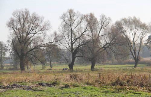 Domek Drewniany - Foto 31