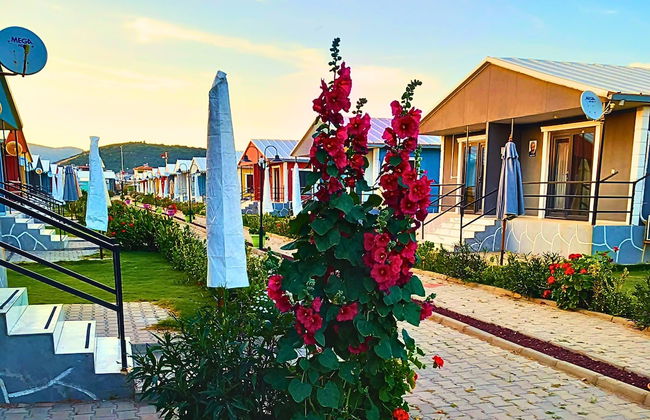 Happy Life Houses - Photo 10