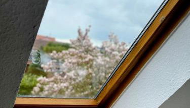 *To hus* Wohnung am Rande von Jever - Foto 5