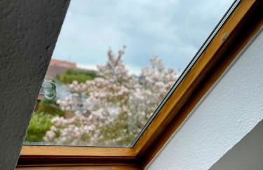 *To hus* Wohnung am Rande von Jever - Foto 5