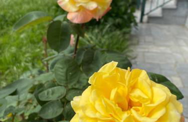 Vivenda Carthagena, House Fundão - Foto 7