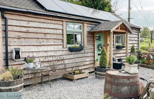 Little Pines Lodge - Foto 29