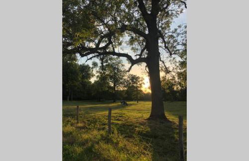 Maison la Déco Verte - Foto 11