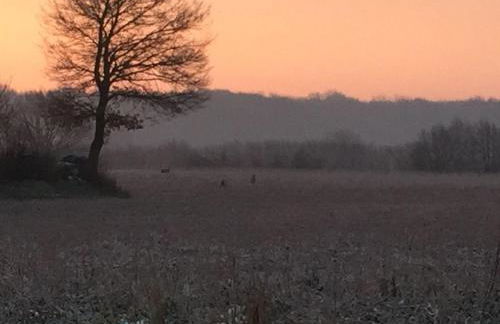 Ferienwohnung Nordglück - Foto 4
